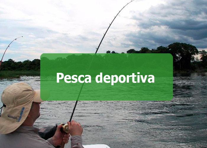 Pesca deportiva